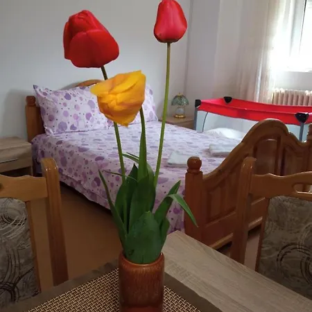 Andelina Apartment Vrnjačka Banja