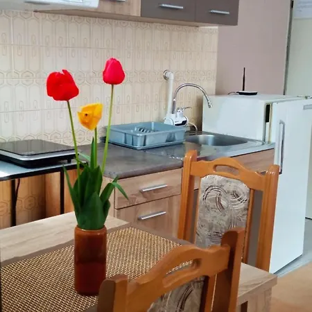 Andelina Vrnjačka Banja