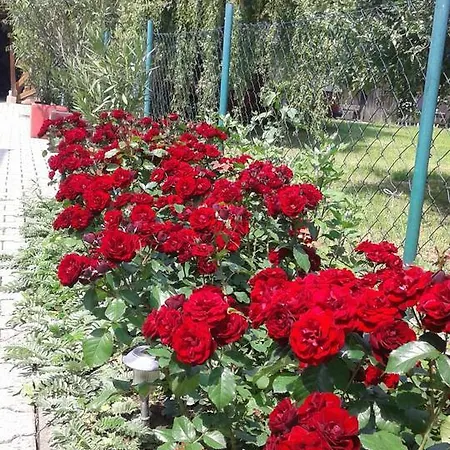 Andelina Apartment *