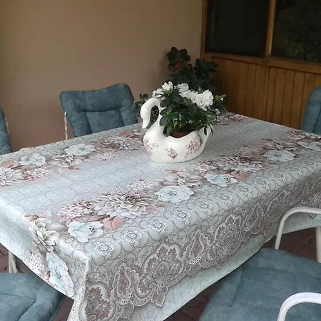 Andelina Vrnjačka Banja