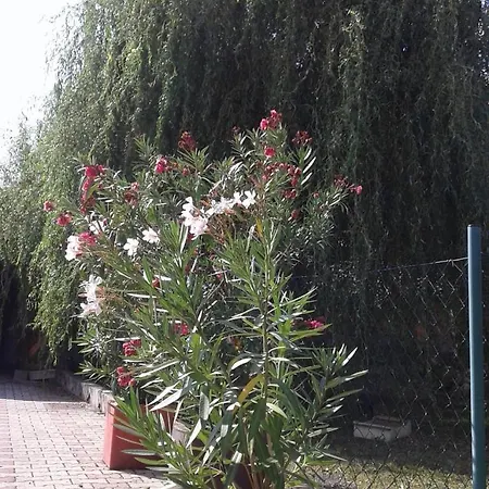 Apartment Andelina Vrnjačka Banja