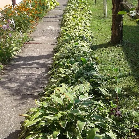 Andelina Apartment Vrnjačka Banja