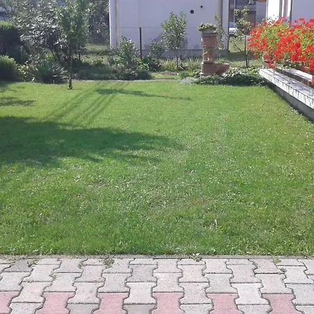 Andelina * Vrnjačka Banja