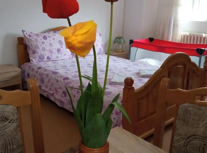 Andelina 公寓 Vrnjačka Banja