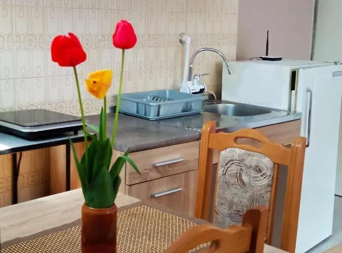 Andelina Vrnjačka Banja