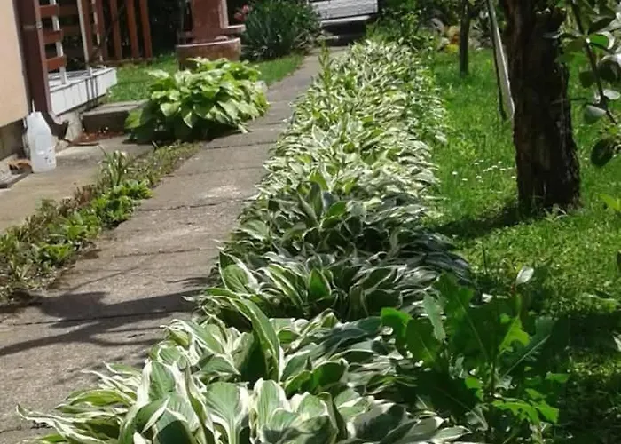 公寓 Andelina Vrnjačka Banja