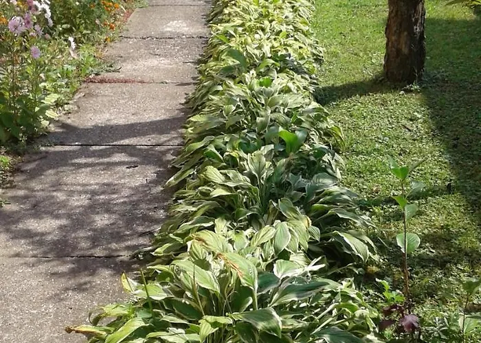 Andelina 公寓 Vrnjačka Banja